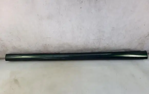 Jaguar X-Type Sill 1X43F10609ACW