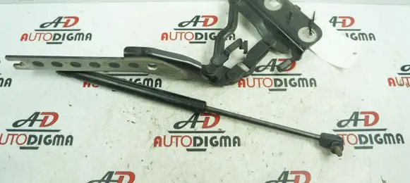 Audi A8 S8 D3 4E Engine bonnet/hood hinges 4E0823301F 4E0823359D