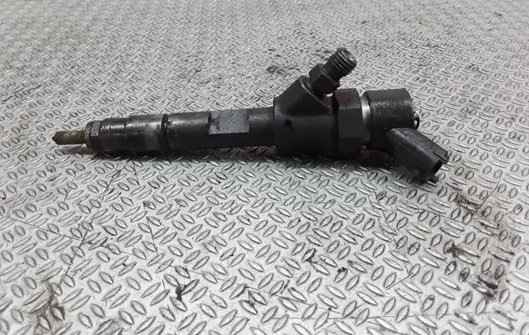 Renault Megane II Fuel injector 8200100272 0445110110B