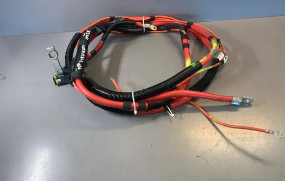 Positive wiring loom