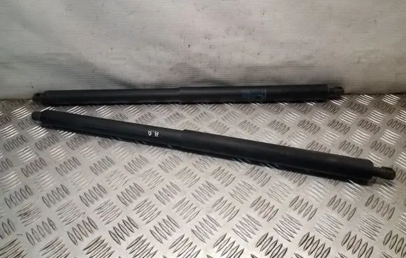 Opel Insignia A Tailgate/trunk strut/damper 13247949 13441810