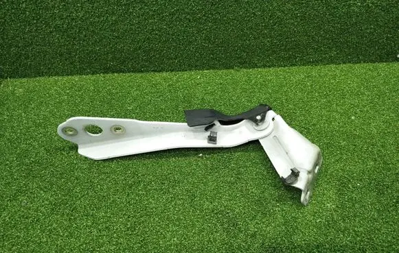 Renault Master III Engine bonnet/hood hinges 654000006R