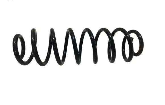 Rear coil spring