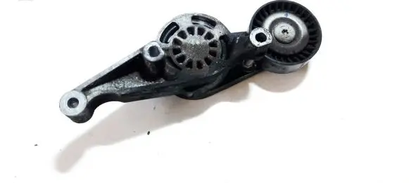 Skoda Octavia Mk2 (1Z) Generator/alternator belt tensioner 03g903315d