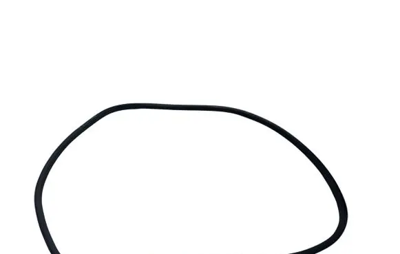 Mercedes-Benz S W221 Rear door rubber seal (on body) A2216971151