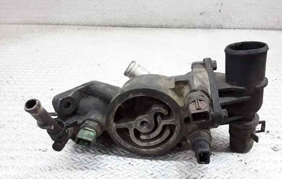 Thermostat/thermostat housing