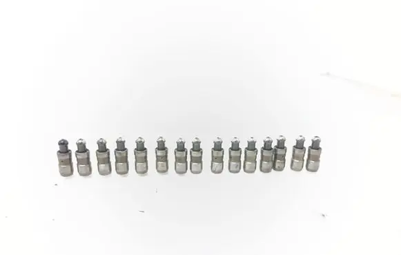 Volkswagen Transporter - Caravelle T6 Tappets lifter 