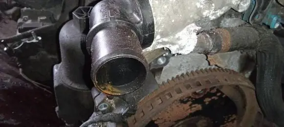 Citroen C3 Engine coolant pipe/hose