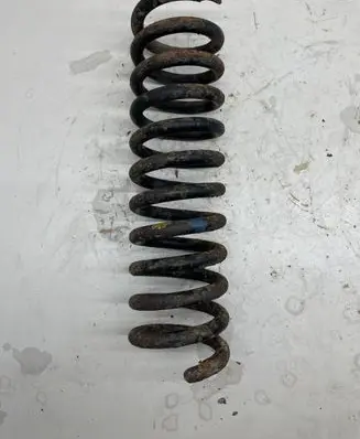 Front coil spring