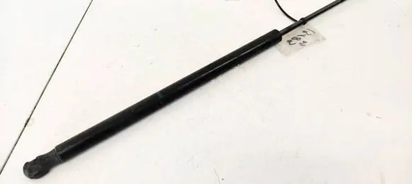 Renault Scenic II - Grand scenic II Tailgate/trunk strut/damper 8200377199
