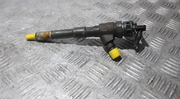 Dacia Dokker Fuel injector 0445110485