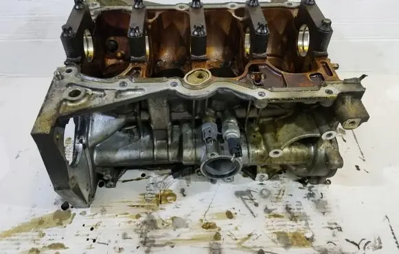Nissan Juke I F15 Engine block 