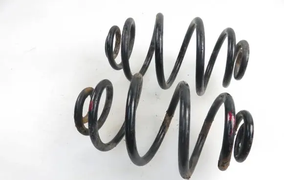 Volkswagen PASSAT B5.5 Rear coil spring