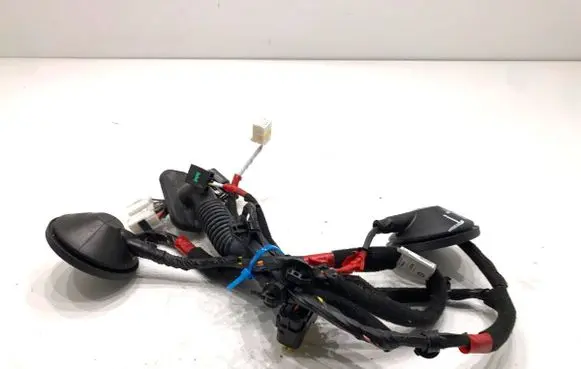 Hyundai i30 Rear door wiring loom 91650G4060