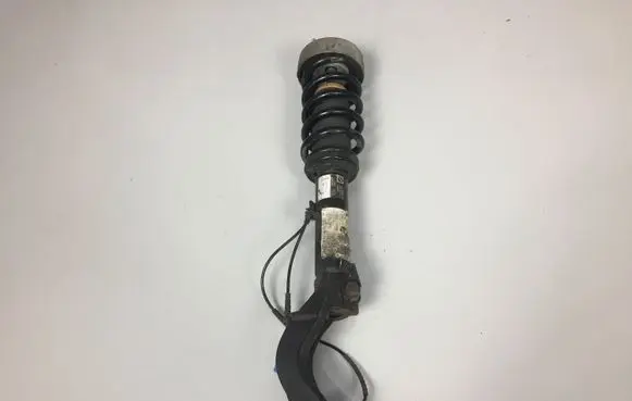 BMW X5 F15 Front shock absorber/damper 6875084