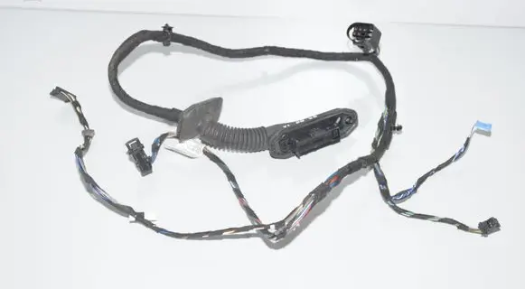 BMW X1 E84 Front door wiring loom 9191808 9247072 61129384571