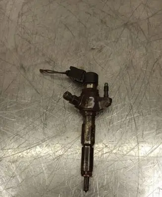 Ford Focus Fuel injector 9802448680 50274V05