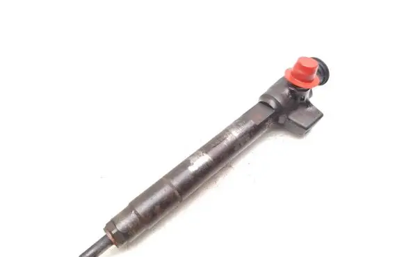 Peugeot Boxer Fuel injector 9824388280