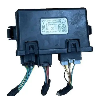 Buick Enclave II Tailgate/trunk control unit/module 84233603