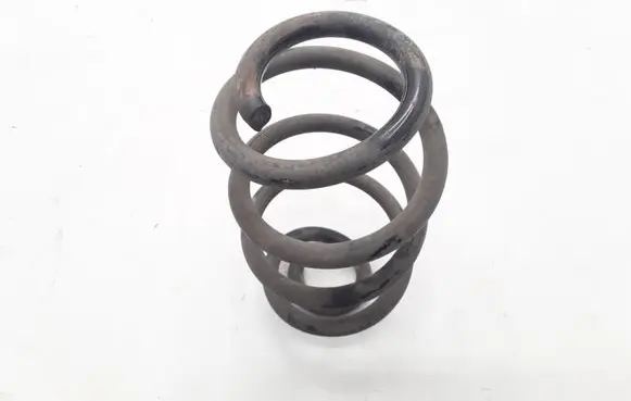 Renault Zoe Rear coil spring 550206834R