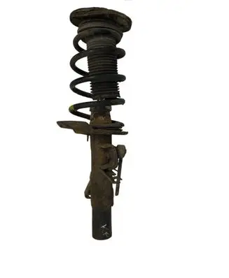 Ford S-MAX Front shock absorber with coil spring