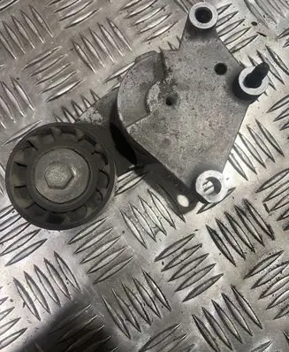Citroen Berlingo Generator/alternator belt tensioner 846143 TF129B