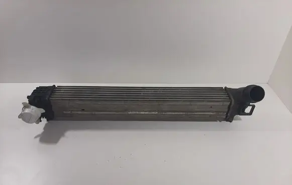 Renault Megane III Intercooler radiator 144960600R