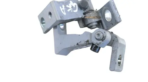 Volkswagen ID.3 Rear door lower hinge 8X0831403F