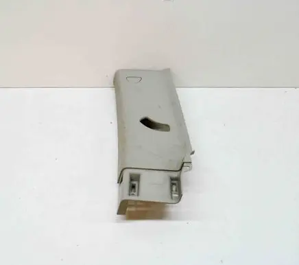 Dodge RAM 1500 DS (C) pillar trim 1DX60TRMAA