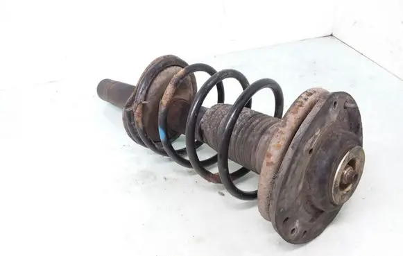 Peugeot 206 Front shock absorber with coil spring