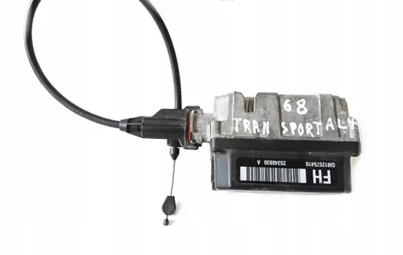 Chevrolet Trans Sport Cruise control unit/module 12575410