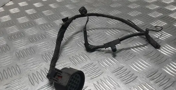 Jaguar F-Pace Other wiring loom