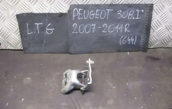 Peugeot 308 Rear door lower hinge