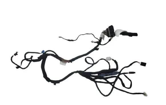 BMW 5 G30 G31 Front door wiring loom 11107810 1599197