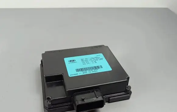 Hyundai Santa Fe Other control units/modules 953002W3000090