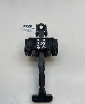 Peugeot 508 Rear door check strap stopper 9670519680