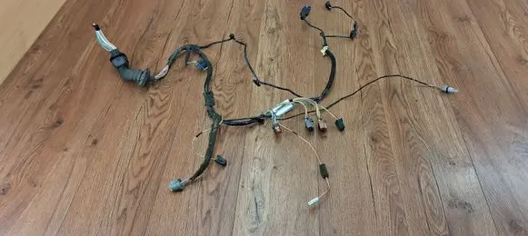 Renault Espace IV Front door wiring loom 8200517555