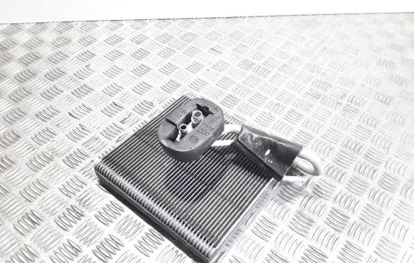 Heater blower radiator