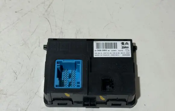 Peugeot 308 Other control units/modules 9836666580