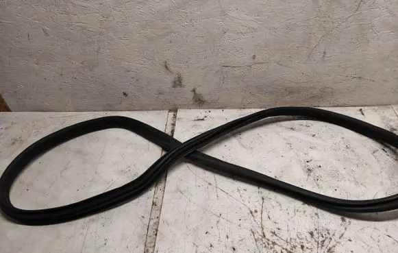 BMW i4 Rubber seal rear door 7482947