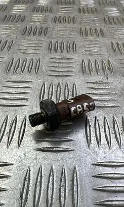 Skoda Octavia Mk3 (5E) Oil pressure sensor 04L919081B