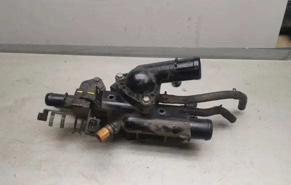Thermostat/thermostat housing