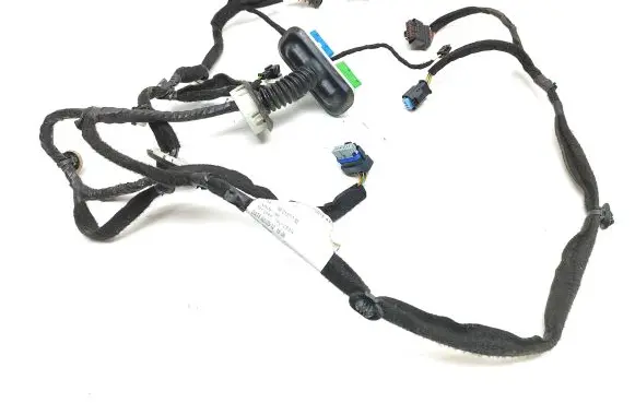 Citroen DS5 Front door wiring loom 9801371780 55WYDB004