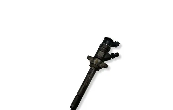 Peugeot Partner Fuel injector 0445110311
