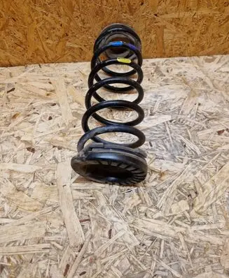 Rear coil spring