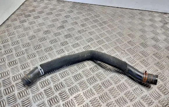 Mercedes-Benz B W245 Engine coolant pipe/hose 1695011382