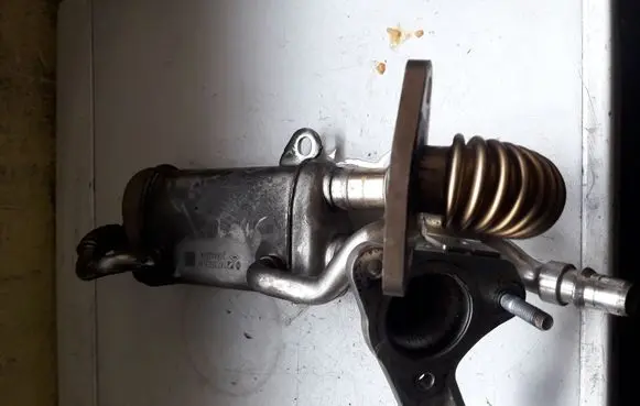 Renault Laguna III EGR valve cooler