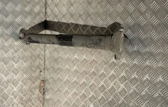 Volkswagen ID.4 Rear shock absorber/damper 1EA512013AS