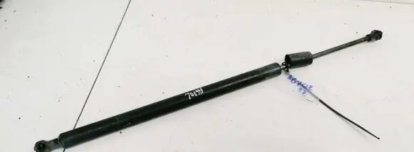Renault Modus Tailgate/trunk strut/damper 8200219322