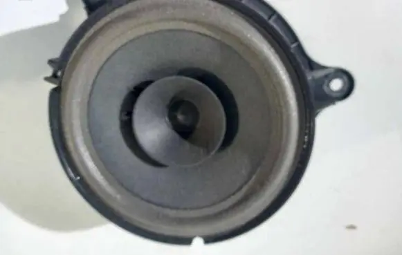 Renault Zoe Front door speaker